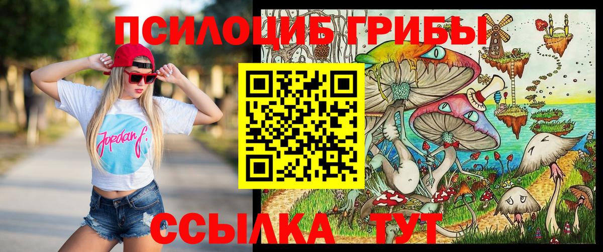 Галлюциногенные грибы прущие грибы Обнинск
