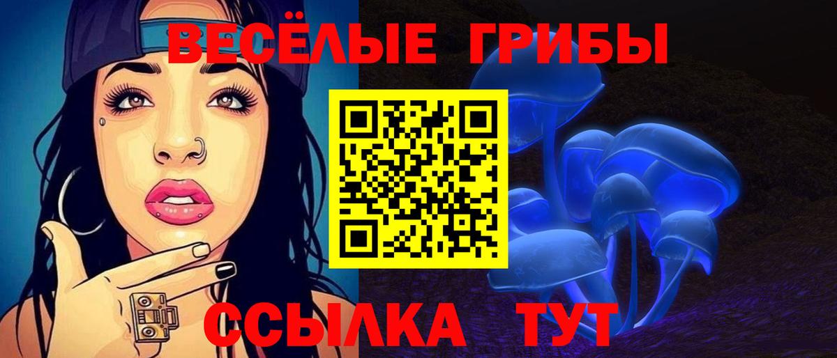 Обнинск  Псилоцибиновые грибы мицелий  Псилоцибиновые грибы прущие грибы  Вход с VPN 