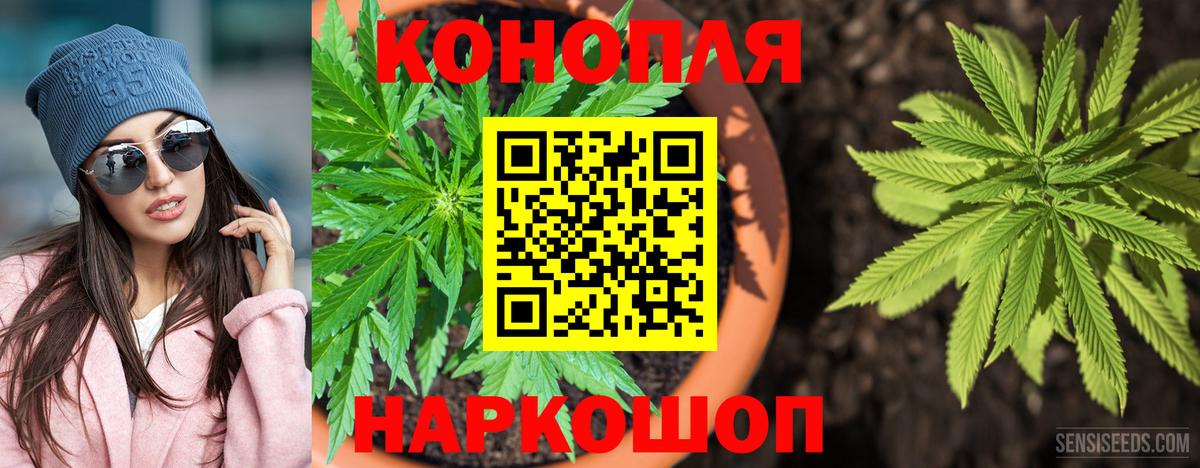Канабис семена Обнинск